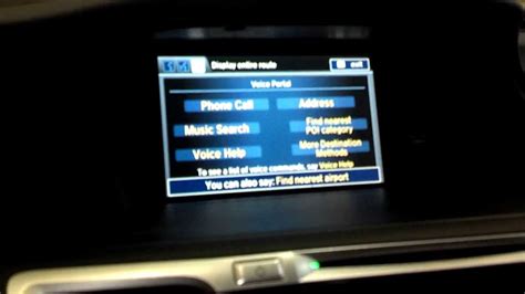 Voice Command Pilot Interface System