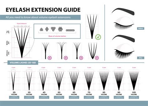 Volume Lash Template