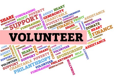 Volunteer Experience Section Example