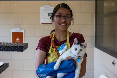 Volunteering with animal rescue organizations in Greensboro, NC