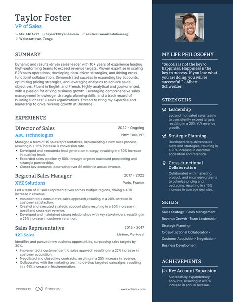 VP of Sales Resume Example 1