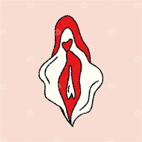 Vulva illustration