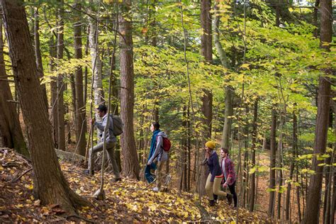 Walker Woods Conservation