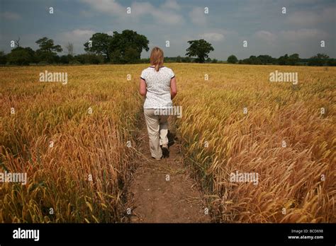 Walking through barley fields