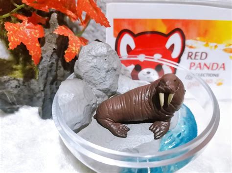 A 3D walrus diorama made from a shoe box and various craft materials