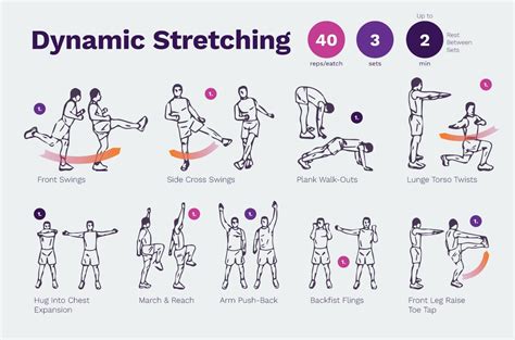 Warm-Up and Stretching Template