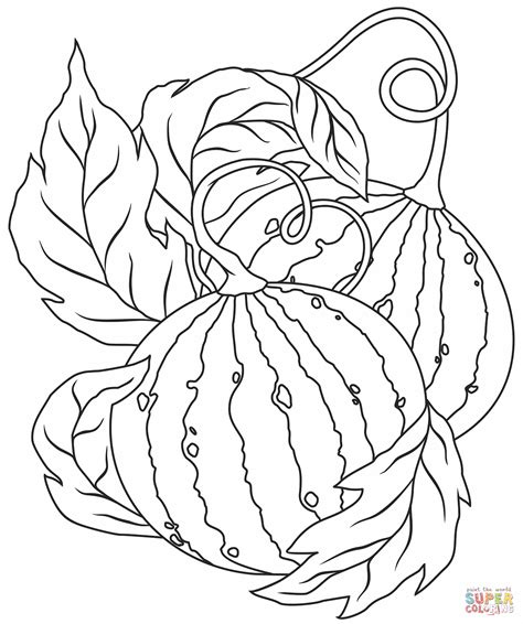 Watermelon Coloring Pages Gallery 4