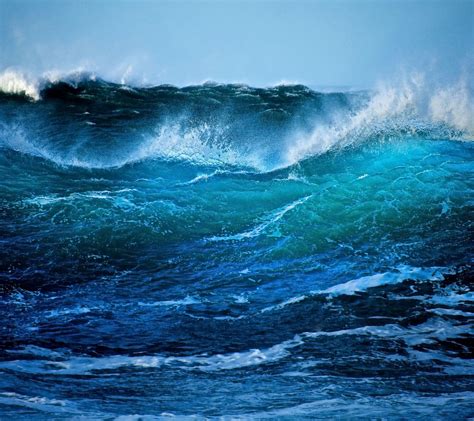 A wave crashing against the shore