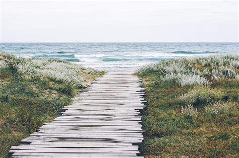 A beach landscape with a winding path, symbolizing the journey of the wayward path