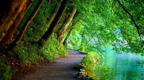 A river landscape with a winding path, symbolizing the journey of the wayward path