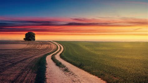 A sunset landscape with a winding path, symbolizing the beauty of the wayward path