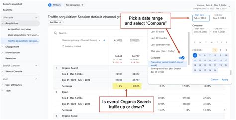 website traffic date range