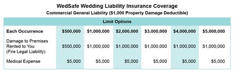 Wedding Singer Liability Insurance Example