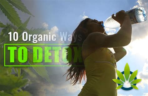 Weed Body Cleanse Tips