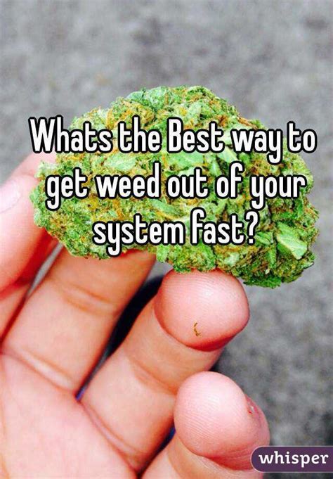 Weed Out Of System Fast Introduction