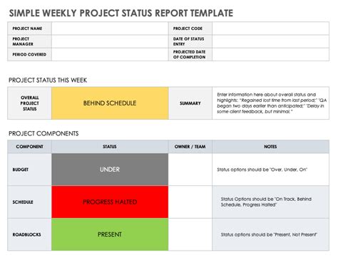 Weekly Status Report Template 10