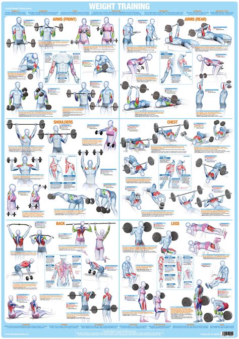 Weight Lifting Chart Techniques