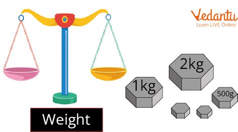 Weight Measurement Importance