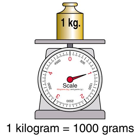 The Science of Weight Conversion