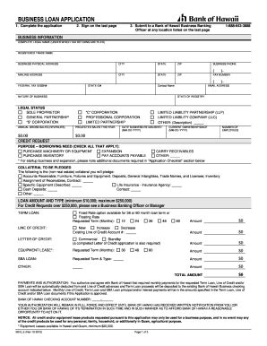 Wells Fargo Loan Application Template 9