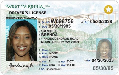 Image of the West Virginia DMV website