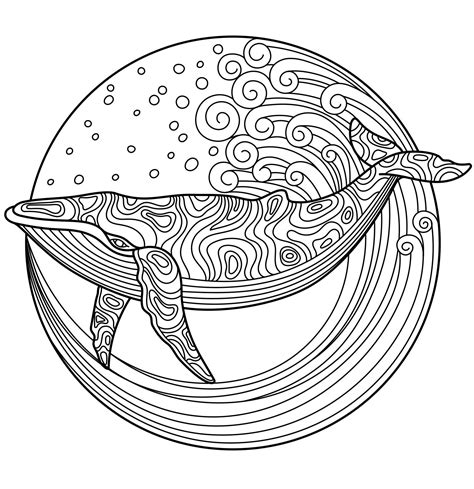 Whale coloring pages for adults