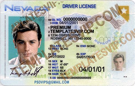 What to Include in a Driver's License Template