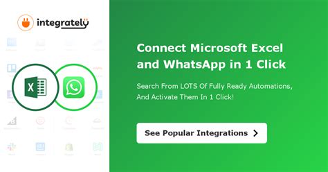 WhatsApp Excel Integration