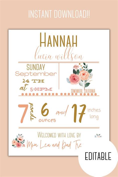 Whimsical birth stats template example