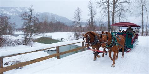 Whistler Sleigh Rides