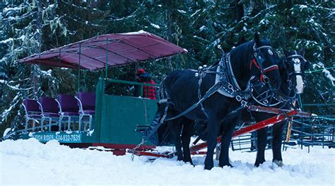 Whistler sleigh rides