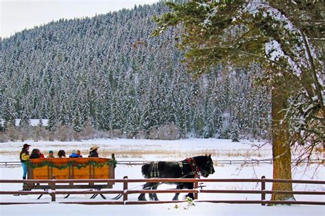 Whitefish Montana Sleigh Ride