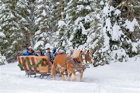 Whitefish Montana Sleigh Ride