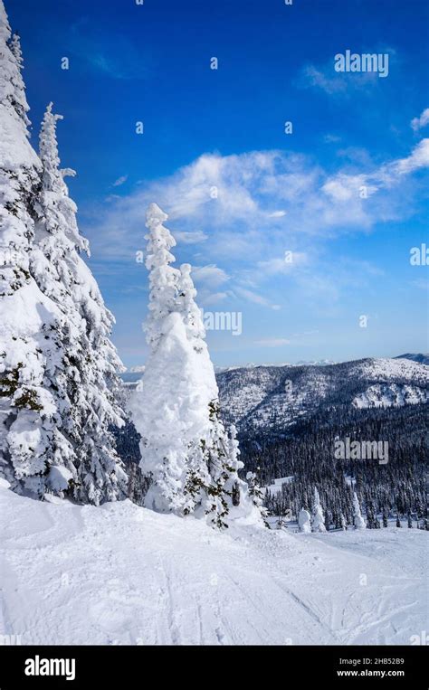 Whitefish Montana Winter Landscape