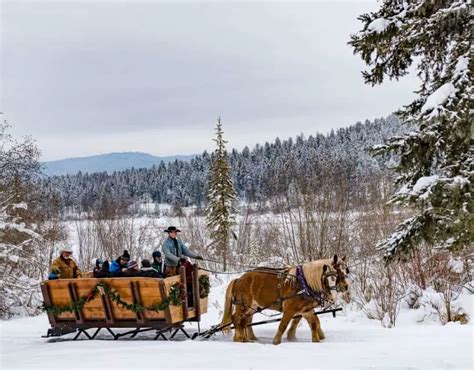 Whitefish Montana Winter Wonderland Tour