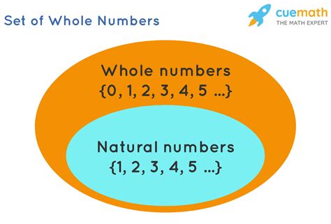 Examples of Whole Number Inputs