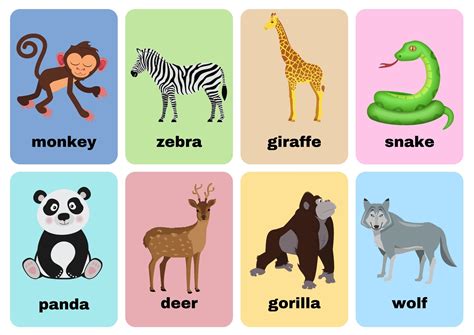 Wild Animal Flashcards