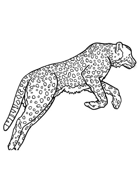 Wild cat coloring page