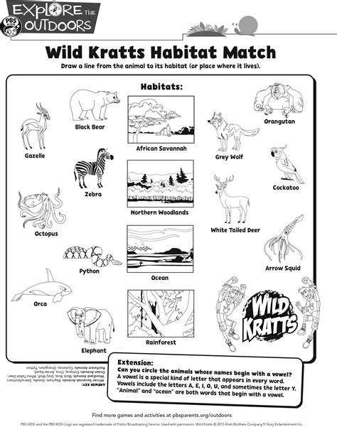 Wild Kratts Printable Games