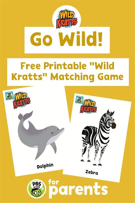 Wild Kratts Educational Games