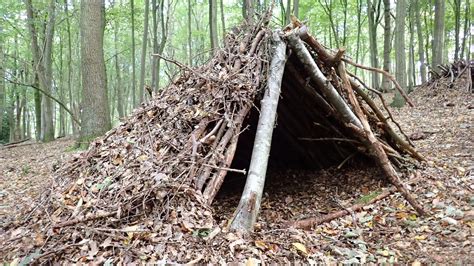 Wilderness survival shelter