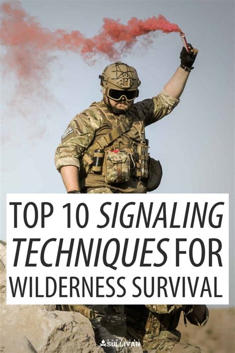 Wilderness survival signaling