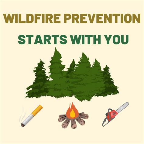 Wildfire prevention measures