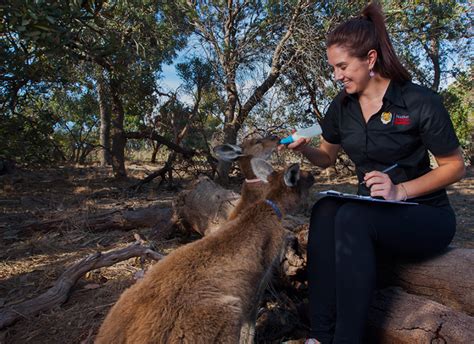 Wildlife Biologist