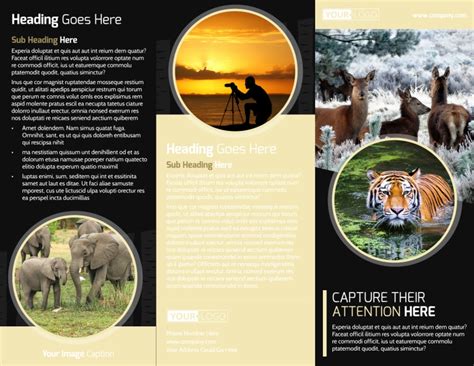 Wildlife Expedition Template Example