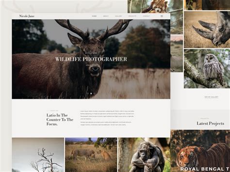 Wildlife Photography Template