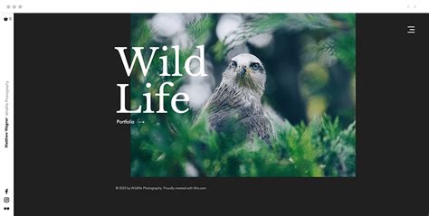 Wildlife Photography Website Design