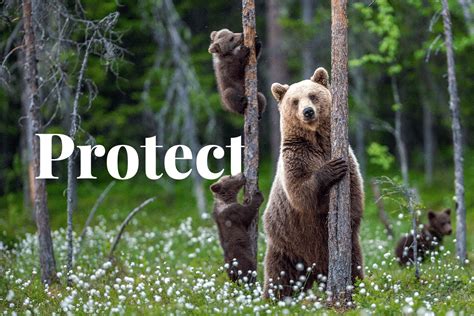 A person holding a sign that says 'Protect the Wilds'