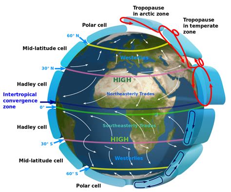 Wind currents and their effect on eagle flight