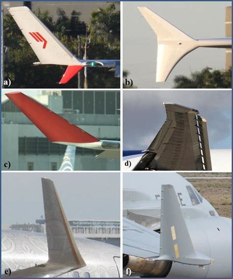 Winglets and Raked Wingtips